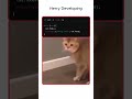 "When a Dev Forgets Their Own Name… 😂 #CodingHumor" #shorts #shortvideo #funny #video #views #fyp