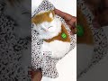 Cute sleeping cat 😻 with sound effects ☎️ 7397188832 #love #gift #artwork #creative #artist #art