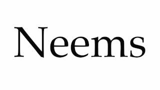 How To Pronounce Neems