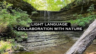 LIGHT LANGUAGE COLLABORATION WITH NATURE #lightlanguage #energyhealing #heartchakra #solarplexus