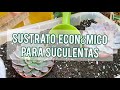 Sustrato económico y rico en nutrientes para tus Suculentas/ Jardín Suculento