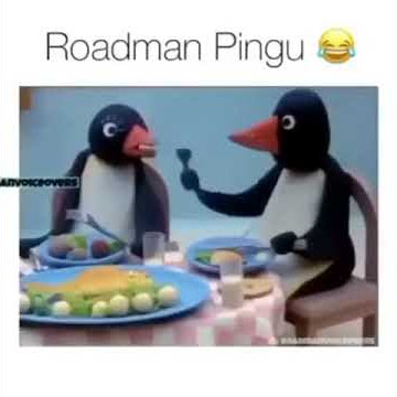 Roadman Pingu