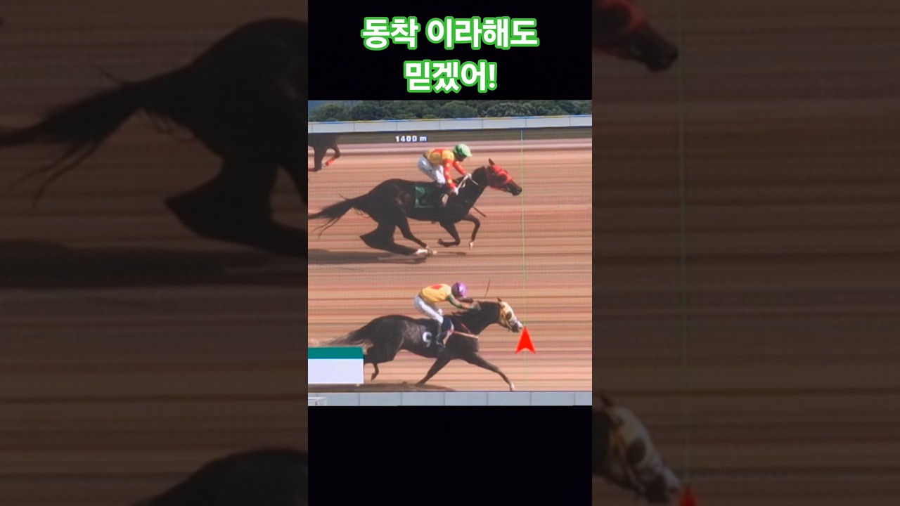 착순은 과학이야!#경마 #말 #달려라말 #shorts