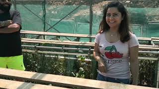 Snail farm in Lebanon - Kfarhay village - Farm by Georges Chahoud - Interviewing Mrs. Carine Chahoud