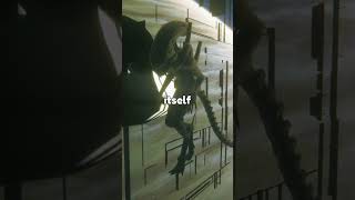 What The Alien Does When You're Not Looking #alien #alienisolation