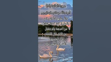 سورة المائدة الآية ٢٧