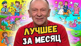 Самые яркие, смешные и безумные анекдоты за весь месяц😁