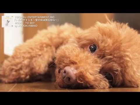 愛の周波数528Hz シリーズ - YouTube
