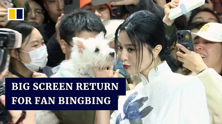 ‘I was doing well at home’: Chinese film star Fan Bingbing returns to cinema in Berlin - DayDayNews