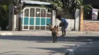 Cazan - Attack Training.flv