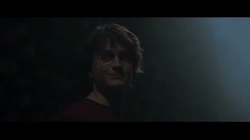 Harry Potter and the Goblet of Fire - The Third Task / The Maze