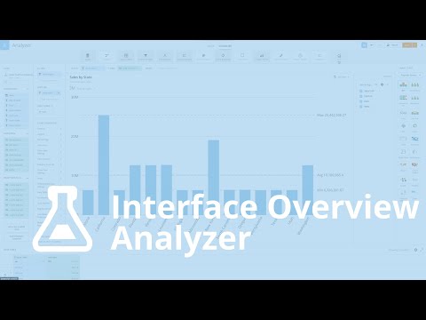 Interface Overview - Analyzer