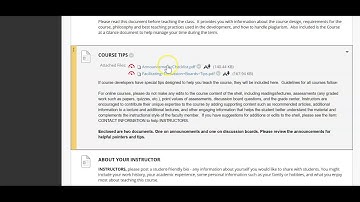 PSYU 333 Instructor Navigation Video