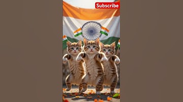 “3 Cats Dancing Proudly with the Indian Flag 🇮🇳😻”
