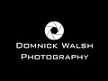 Domnick Walsh Logo