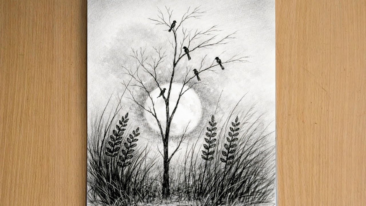 How to Draw Scenery of Moonlight Night by pencil sketch, Love Birds Scenery Drawing