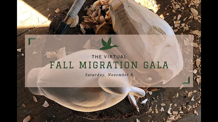 The Virtual Fall Migration Gala