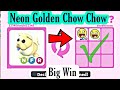 I Traded My Neon Golden Chow Chow In Adopt Me