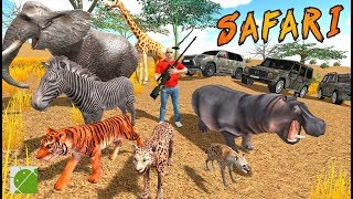 Safari Hunting Free Shooting Game - Android Gameplay FHD screenshot 3
