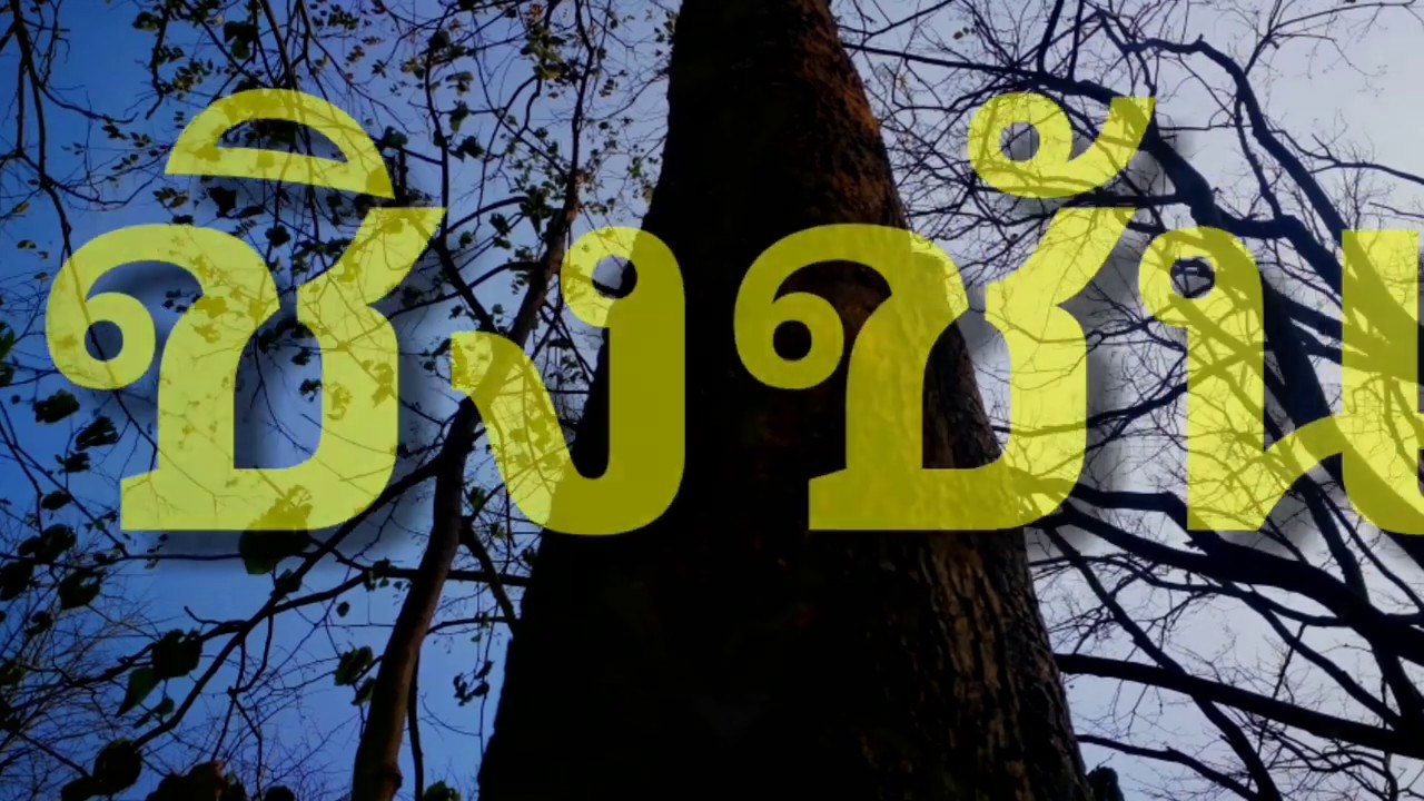 ชิงชัน ไม้เสียงดี ep17