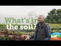 Whats in the soil  soil association