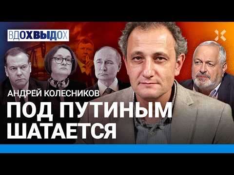 YouTube видео