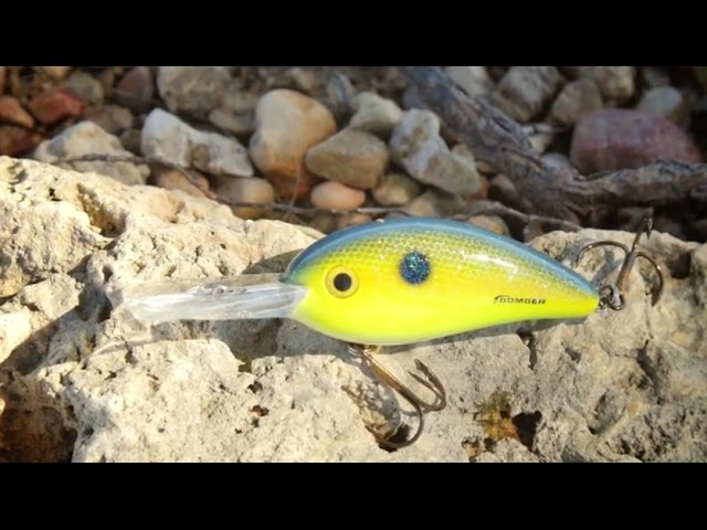 Pull Big Fish Through Stained Water With The Bomber Fat Free Shad 