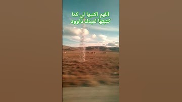افضل دعاء عند السجود الشيخ بدر المشاري #بدر_المشاري #دعاء #اذكار #القرآن_الكريم #الاسراء_والمعراج