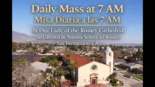 Daily Mass
