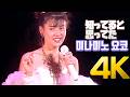 [4K] 미나미노 요코(南野陽子) - 知ってると思ってた 1989 4K AI Upscaling