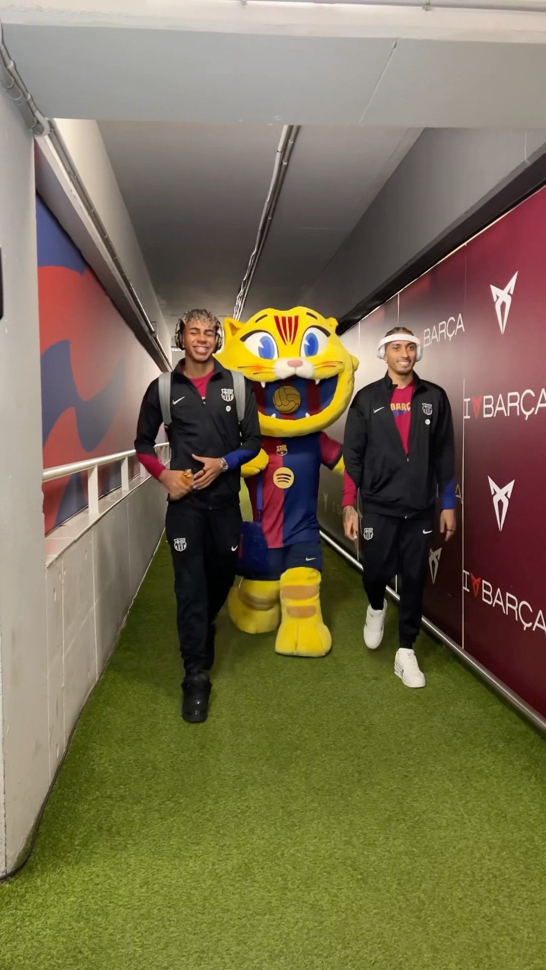 Cat is in da house ? #fcbarcelona #shorts #cat