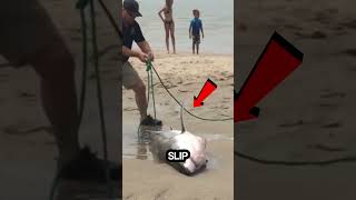 They saved this shark just in time #shorts #viral