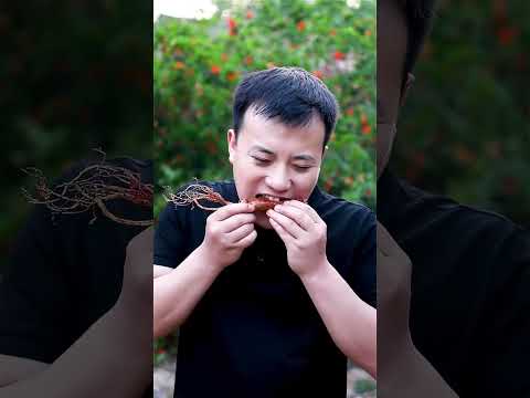 Video: Ginseng Controlul dăunătorilor: scăparea de gândaci care mănâncă ginseng