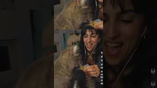 Kitty licks the puddin’ | #mickysinner on #twitch #cat #streamer #clips  #asmr #purring #funny