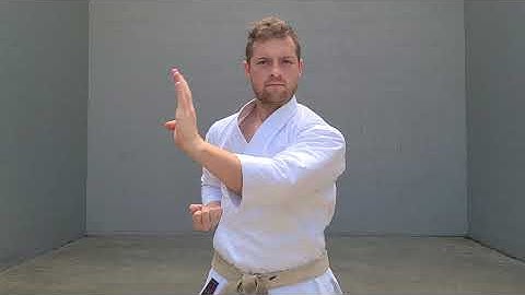 Karate Moves | NAGASHI UKE - Sweeping Block