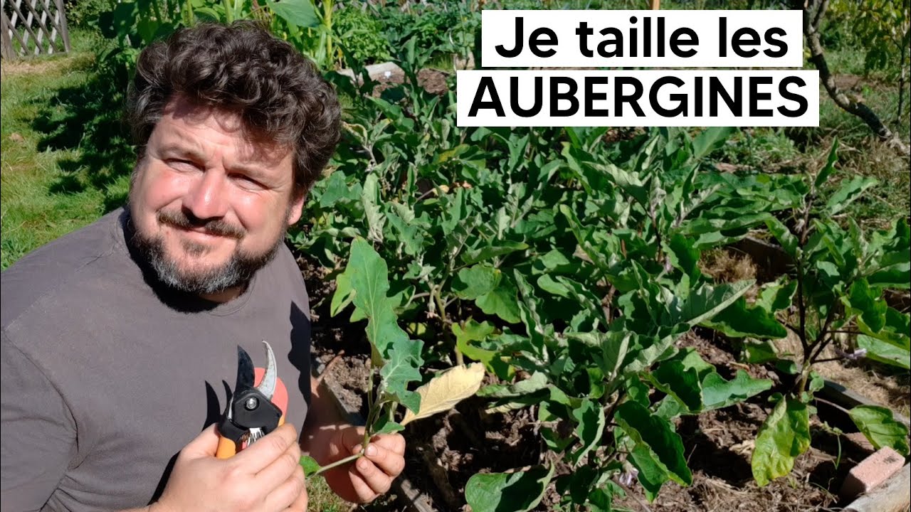 Comment je taille les aubergines YouTube
