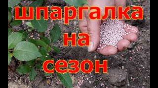 ШПАРГАЛКА на весь сезон! Подкормка плодовых деревьев!