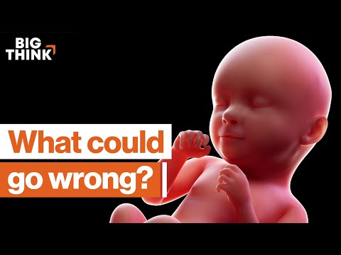 CRISPR: Can we control it? | Jennifer Doudna, Richard Dawkins, Steven Pinker, & more | Big Think