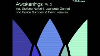 Daniel Sanchez - Awakenings (Stefano Noferini Remix)