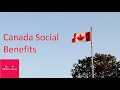 Социальное пособие в Канаде для иммигрантов (Canada social benefits)