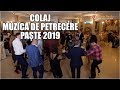 ASA-I OMUL CAT TRAIESTE 2019 - COLAJ MUZICA DE PETRECERE - FORMATIA IULIAN DE LA VRANCEA