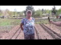 Посадка картофеля в два гребня   Благушка Людмила