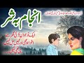 Anjam Ba Shar Malik Safdar Hayat Story
