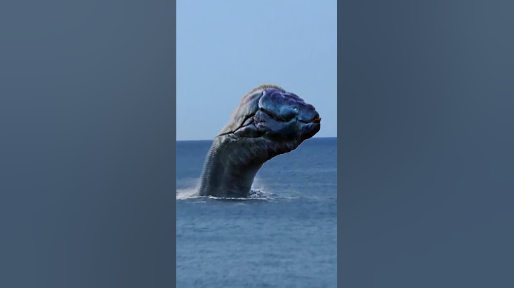 Анапа. Морской змей вернулся😲