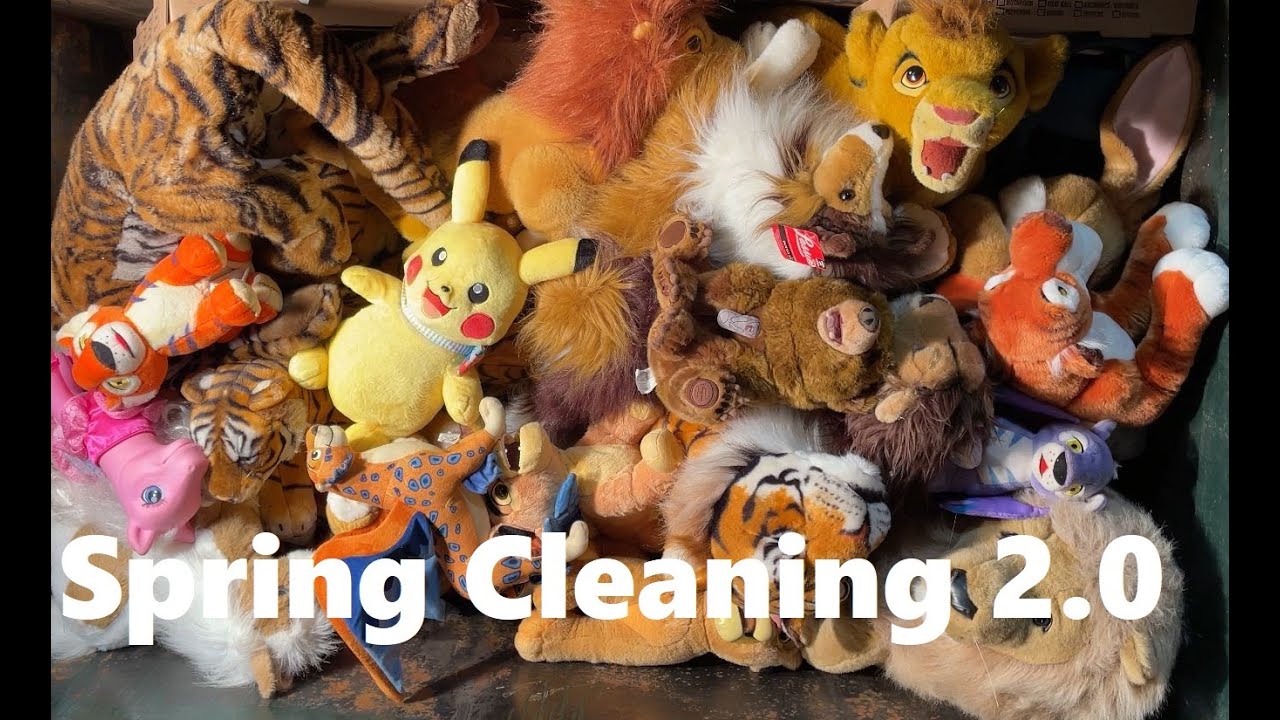 Spring Cleaning 2.0 Garbage Day Throwing Away and Making Stuffed