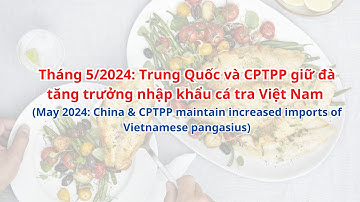 VASEP Highlight - T6/2024: Cá tra