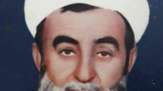 GAVS ŞEY