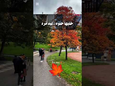 صحاك الشوق من نومك  اكسبلور فضل شاكر