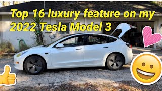 Top 16 Luxury features on my 2022 Tesla Model 3 Long Range AWD. Need to know before you buy a Tesla!