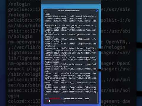 Cómo Utilizar las EXPRESIONES REGULARES en Linux | En Menos de 1 Minuto #SHORTS